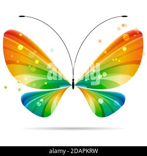 magnifique papillon coloré à rayures multicolores sur fond blanc, antennes noires, quatre ailes, deux paires d'ailes Banque D'Images