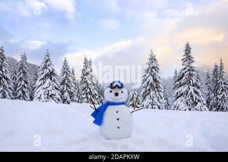 Bonhomme de neige drôle en lunettes de ski et en graf bleu. Paysage d'hiver avec des arbres dans les dérives, la pelouse couverte de neige. Banque D'Images