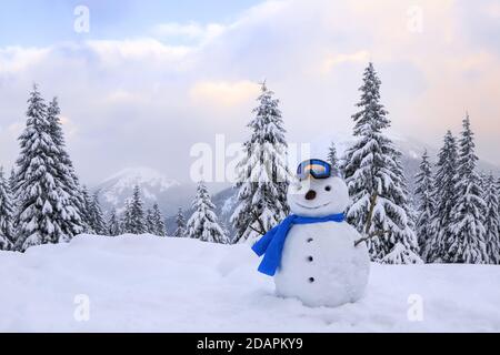 Bonhomme de neige drôle en lunettes de ski et en graf bleu. Paysage d'hiver avec des arbres dans les dérives, la pelouse couverte de neige. Banque D'Images