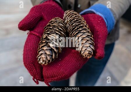 New York, NY - 14 novembre 2020 : une femme tient des cônes de 2020 75 pieds de l'arbre de Noël du Rockefeller Center d'Oneonta dans ses mains en portant des mitaines rouges lors de l'installation sur la Rockefeller Plaza Banque D'Images