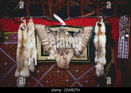 Trophées de l'aigle chasseur Bashakhan SPAI, renard, tanuki et hibou, les peaux de renard qu'il vend au bazar à Olgii, la chouette qu'il garde comme décoration Banque D'Images