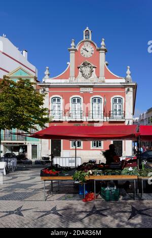 Étals de fruits et légumes dans le marché agricole quotidien, ancien hôtel de ville derrière, place de la République, Caldas da Rainha, Estrémadure, Portugal Banque D'Images