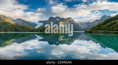 Glacier Svartison avec langue de glacier, chaîne de montagnes boisées reflétée dans le fjord calme, Meloy, Nordland, Norvège Banque D'Images