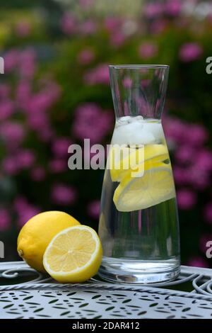 Eau de citron dans la carafe et les citrons, Allemagne Banque D'Images