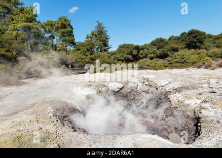 Wai-O-Tapu Thermal Wonderland, Océanie, Rotorua, Bay of Plenty, Île du Nord, Nouvelle-Zélande Banque D'Images