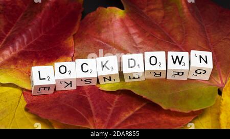 Cubes de lettres à la suite, sur les feuilles d'automne, formant le mot Lockdown, crise de Corona en automne, image symbolique, Rhénanie-du-Nord-Westphalie, Allemagne Banque D'Images
