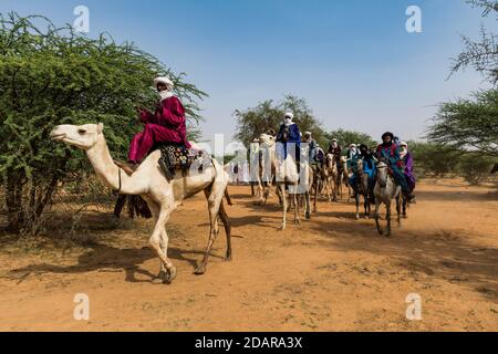 Tuaregs sur leurs chameaux, festival Gerewol, concours rituel de la cour parmi le peuple de Fula de Woodaabe, Niger Banque D'Images