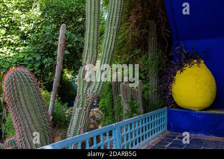 Détail, jardin Majorelle avec maison bleue d'Yves Saint-Laurent, jardin botanique, Marrakech, Maroc Banque D'Images