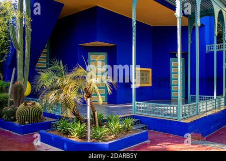 Détail, jardin Majorelle avec maison bleue d'Yves Saint-Laurent, jardin botanique, Marrakech, Maroc Banque D'Images