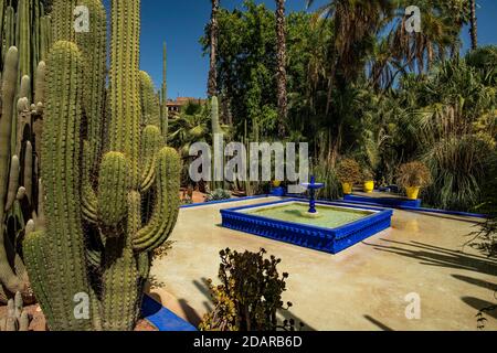 Détail, jardin Majorelle avec maison bleue d'Yves Saint-Laurent, jardin botanique, Marrakech, Maroc Banque D'Images
