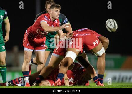 Galway, Irlande. 14 novembre 2020. Dane Blacker de Scarlets pendant le match Guinness PRO14 Round 6 entre Connacht Rugby et Scarlets au Sportsground de Galway, Irlande le 14 novembre 2020 (photo par Andrew SURMA/SIPA USA) Credit: SIPA USA/Alay Live News Banque D'Images