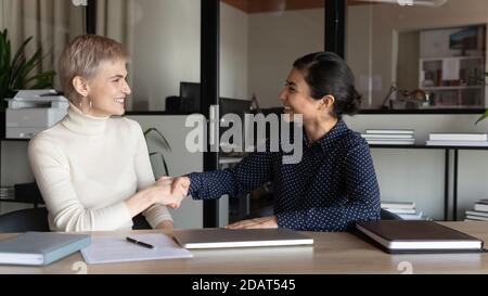 Souriant divers partenaires d'affaires collègues se serrant la main lors de la réunion Banque D'Images