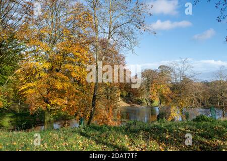 Domaine de Cornwell Manor en automne. Cornwell, Chipping Norton, Oxfordshire, Cotswolds, Angleterre. Vue de la route. Banque D'Images