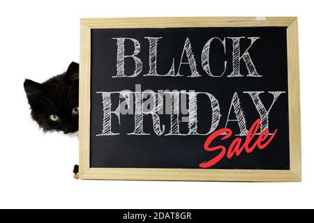 Le chaton noir sort de derrière un panneau avec une inscription à la craie blanche Black Friday sale, isolé sur un fond blanc Banque D'Images