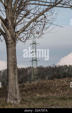 ligne haute tension en hiver, arbre à l'avant, forêt à l'arrière, pas de neige Banque D'Images