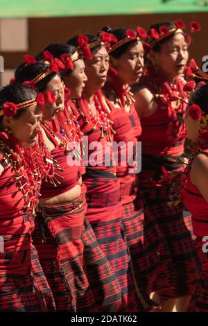 Danse traditionnelle naga interprétée par des femmes dans le patrimoine de Kisama Village de Nagaland Inde pendant le festival du charme du 4 décembre 2016 Banque D'Images