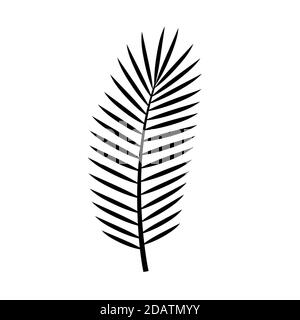 Calamus noir silhouette feuille de palmier. Icône vectorielle Illustration de Vecteur
