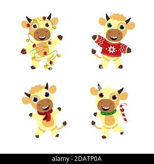 Symbole nouvel an chinois. Ensemble de différents taureaux heureux et mignons. Bonne Année. 2021 ans. Illustration de Vecteur