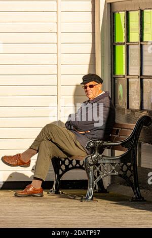 Un monsieur d'un sureau assis seul. Banque D'Images