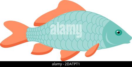 Illustration du petit poisson-carpe. Un seul animal, vue latérale, gros plan. Dessin graphique dessiné à la main sur fond blanc. Illustration de Vecteur