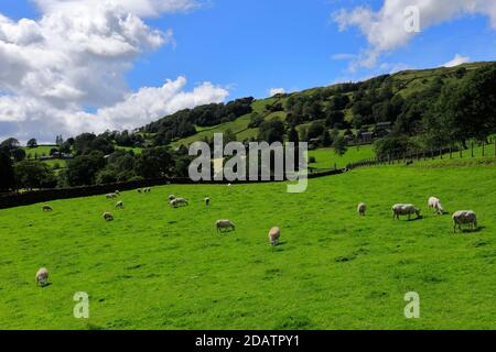 Vue d'été sur le village de Troutbeck, la vallée de Troutbeck, le col de Kirkstone, le parc national de Lake District, Cumbria, Angleterre, Royaume-Uni Banque D'Images