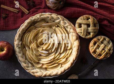 Tartes à dessert sur une table. Vue de dessus photo de diverses tourtes aux pommes, gâteaux et tartes, prunes fraîches, pommes et citrouilles. Idées de menu d'automne. Banque D'Images