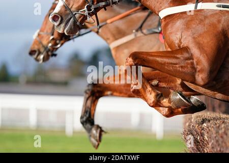 Une vue générale tandis que les coureurs ont dégagé une clôture à l'hippodrome de Cheltenham. Banque D'Images