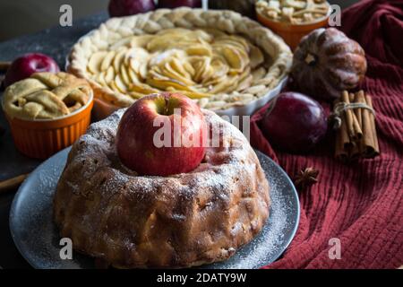 Tartes à dessert sur une table. Vue de dessus photo de diverses tourtes aux pommes, gâteaux et tartes, prunes fraîches, pommes et citrouilles. Idées de menu d'automne. Banque D'Images