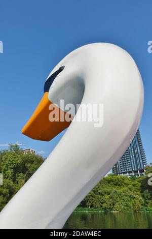 AUSTIN, TX -18 SEP 2020- vue des bateaux à pédales de cygne sur le lac Lady Bird dans le centre-ville d'Austin, Texas, États-Unis. Banque D'Images