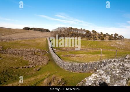 Mur d'Hadrien que les Romains construisirent un mur d'un océan à l'autre pour protéger l'Angleterre romaine des tribus qui vivaient en Écosse. Banque D'Images