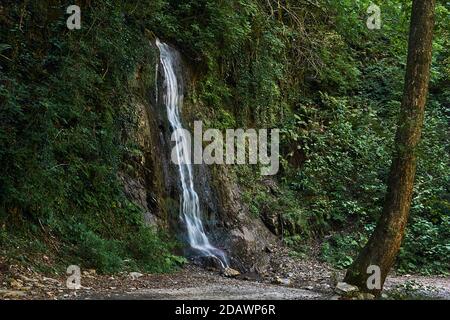 la chute d'eau s'écoule des roches végétalisées dans la forêt tropicale de montagne Banque D'Images