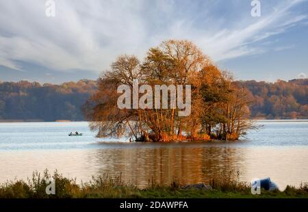 Une petite île dans le Kellersee en automne. Les oiseaux de toutes sortes les adorent faire une pause ou dormir. Banque D'Images