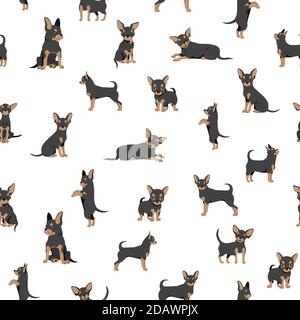 Motif Chihuahua sans coutures. Silhouette saine de chien et différents poses arrière-plan. Illustration vectorielle Illustration de Vecteur