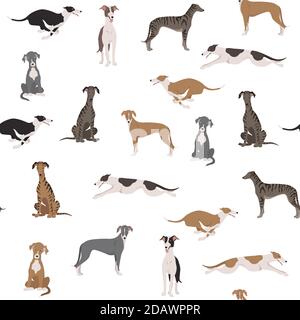 Chiens Greyhound anglais dans différentes poses. Motif sans couture grisant. Illustration vectorielle Illustration de Vecteur