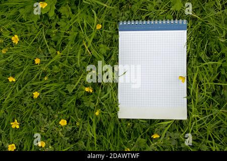 Carnet avec couverture de ressort principal avec feuilles bordées de cage bleue sur un fond de feuilles vertes, tiges et fleurs jaunes de la Buttercup (Ranunculus Banque D'Images