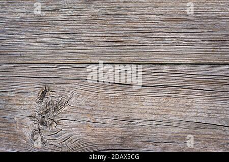 Fond de texture bois, vieux bois naturel Banque D'Images