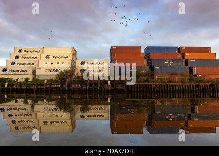 Southampton, Royaume-Uni, 10 novembre 2020. Les oiseaux survolent des dizaines de conteneurs intermodaux de différentes couleurs qui sont empilés les uns sur les autres sur les quais de Southampton. Les conteneurs de marchandises, portant différents noms et logos de compagnies de transport maritime, sont reflétés dans les eaux fixes de l'essai de la rivière formant une image miroir. Banque D'Images