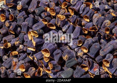 Délicieux aubergines ou aubergines turques marinées et séchées au soleil Le bazar traditionnel à Gaziantep City, Turquie Banque D'Images