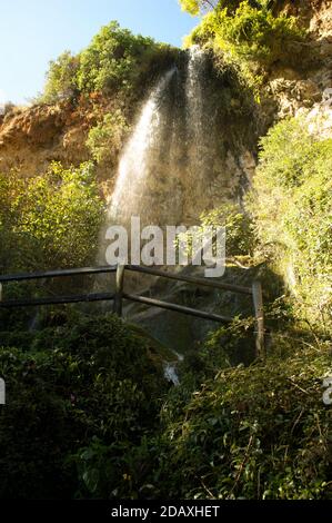 vue à angle bas d'une chute d'eau dans une forêt luxuriante. Concept de la nature Banque D'Images