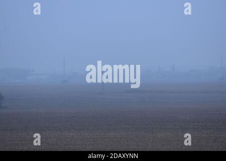 Paysage d'automne des vastes champs de Voïvodine, avec brouillard en arrière-plan Banque D'Images