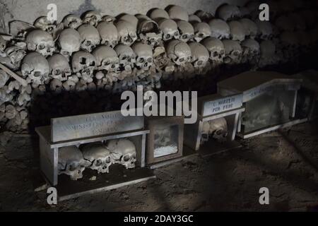 Crânes humains en boîte et empilés au cimetière Fontanelle (Cimitero delle Fontanelle) de Naples, Campanie, Italie. L'ancienne maison de charnel (ossuary) située dans une grotte dans le district de Materdei était l'endroit où le culte spontané de la dévotion aux restes de morts sans nom s'est développé à Naples. Les défenseurs du culte ont payé des visites aux crânes sans nom dans l'ossuaire pour les adopter et même donner les noms des crânes. Les crânes adoptés ont été placés à l'intérieur de la boîte décorée et sont devenus l'objet de prières régulières et d'offrande votive. Banque D'Images