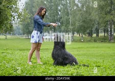 Une jeune femme forme un grand briard noir aux cheveux longs en plein air. Banque D'Images