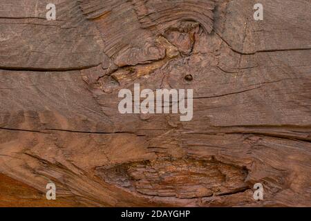 Surface en bois avec motif naturel ancien. Poutres en bois naturel non traitées. Texture en bois vintage. Banque D'Images