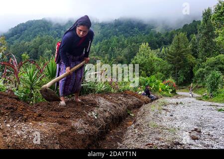 Lucia Matom (CQ), 27 (CQ), utilise une houe pour tirer les mauvaises herbes et dégager un fossé à Buenos Aires, une ville de San Juan Cotzal, au Guatemala. (LIEN CQ). Tous les deux mois, les femmes, les enfants et les hommes de la communauté doivent travailler ensemble pour maintenir et dégager la voie dans le cadre d'un projet avec les maires de la communauté. (Brenda Leticia Saloj Chiyal, GPJ Guatemala) Banque D'Images