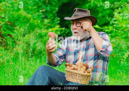 Cueillette de champignons. Grand-père heureux avec des champignons dans le champignon de chasse de bucket. Grand-père avec panier de champignons et une expression faciale surprise Banque D'Images