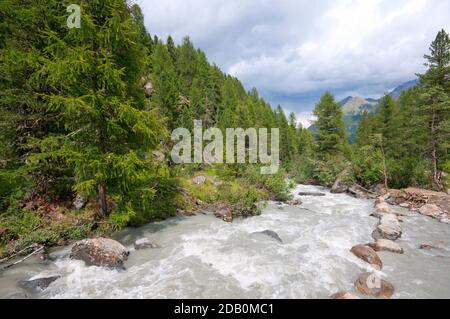 Rivière de la Plima dans la vallée du Martell (Marteltal), Bolzano, Trentin-Haut-Adige, Italie Banque D'Images