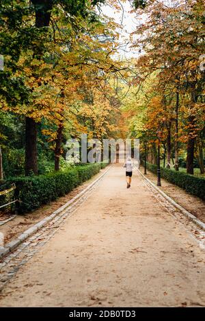 Homme non identifié courant dans le parc Buen Retiro à Madrid pendant l'automne avec des couleurs vives et les chemins couverts feuilles tombées Banque D'Images