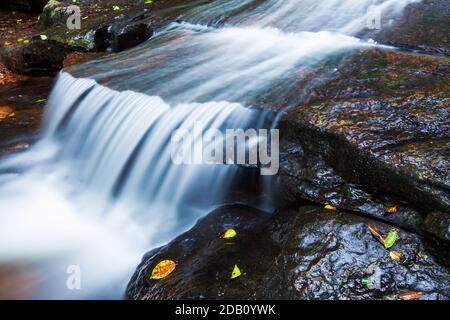 Eau douce de cascade tropicale qui coule sur le grès en saison de pluie, eau pure qui coule sur des couches de mur de grès, feuilles jaunes et vertes. Banque D'Images