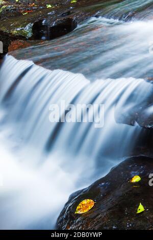 Eau douce de cascade tropicale qui coule sur le grès en saison de pluie, eau pure qui coule sur des couches de mur de grès, feuilles jaunes et vertes. Banque D'Images