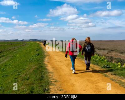 Marcheurs sur un sentier de randonnée à Burnham Overy Staithe dans le Nord Norfolk Angleterre Royaume-Uni Banque D'Images